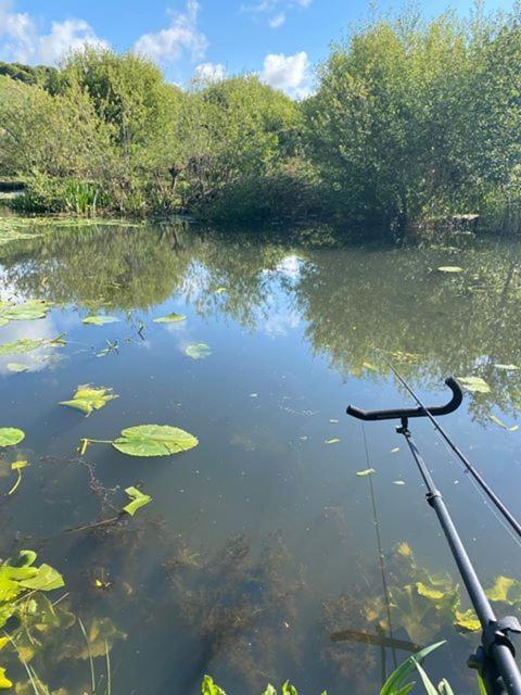 Marsh Water Ponds Fishery Kidwelly Exterior foto
