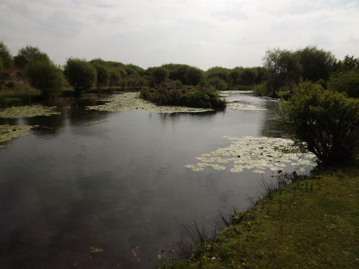 Marsh Water Ponds Fishery Kidwelly Exterior foto