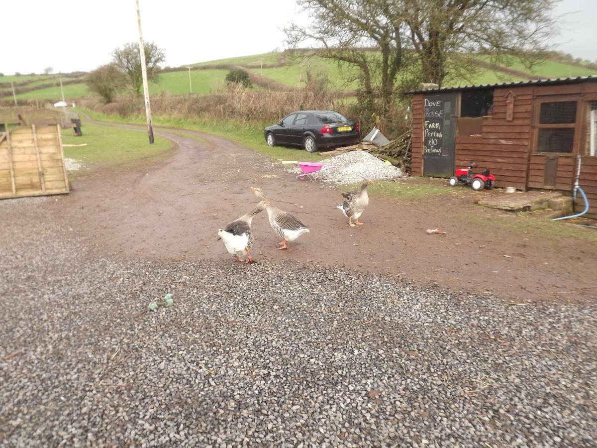 Marsh Water Ponds Fishery Kidwelly Exterior foto