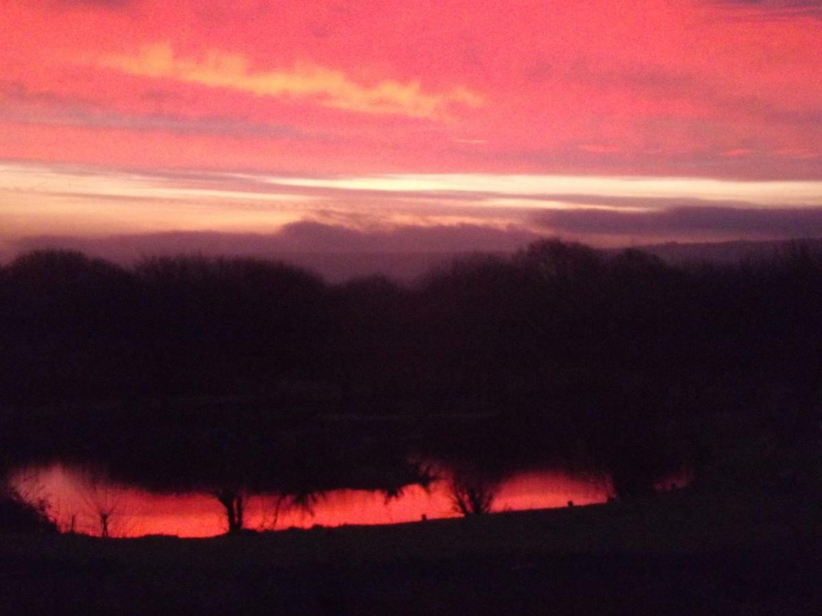 Marsh Water Ponds Fishery Kidwelly Exterior foto