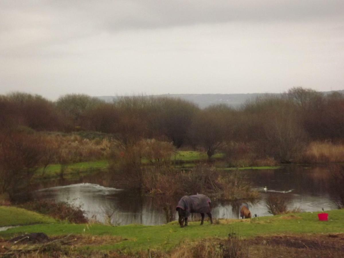 Marsh Water Ponds Fishery Kidwelly Exterior foto