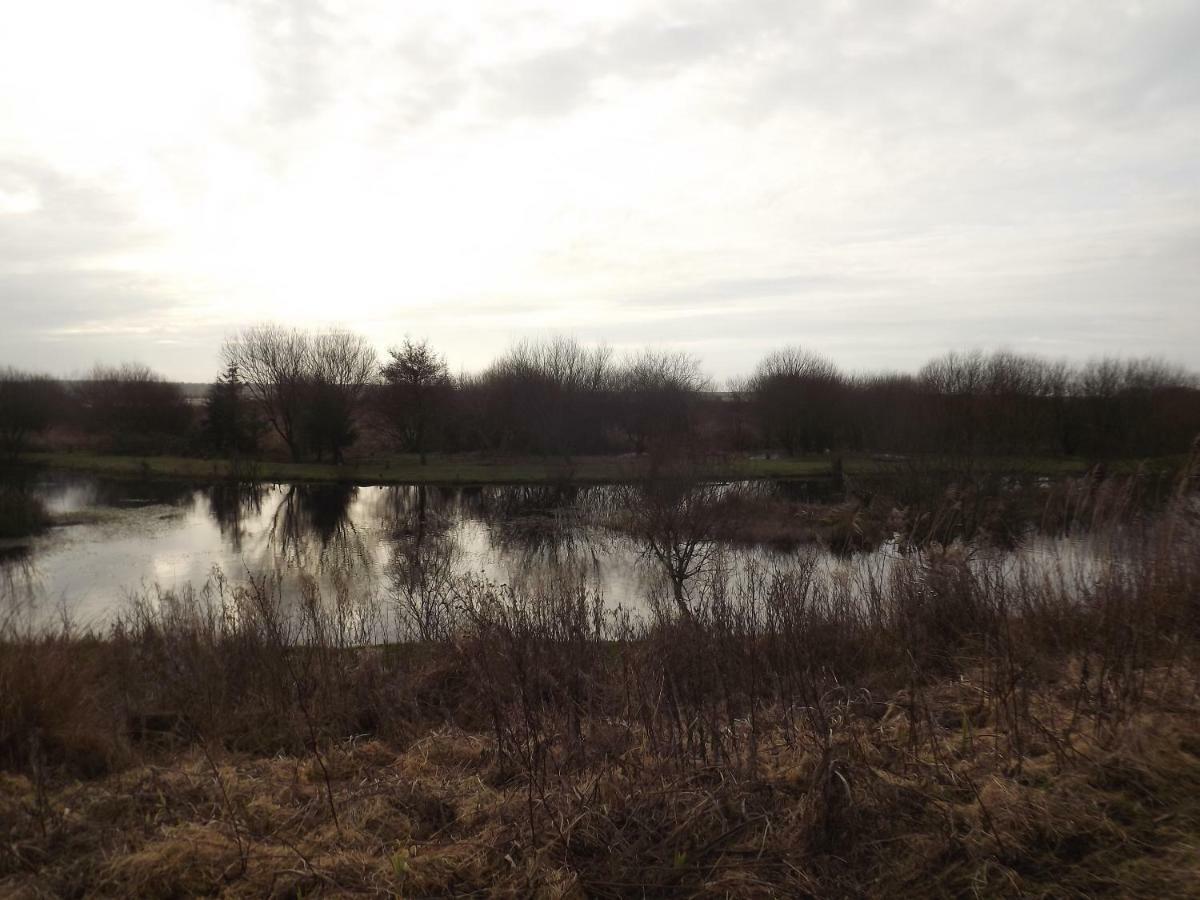 Marsh Water Ponds Fishery Kidwelly Exterior foto