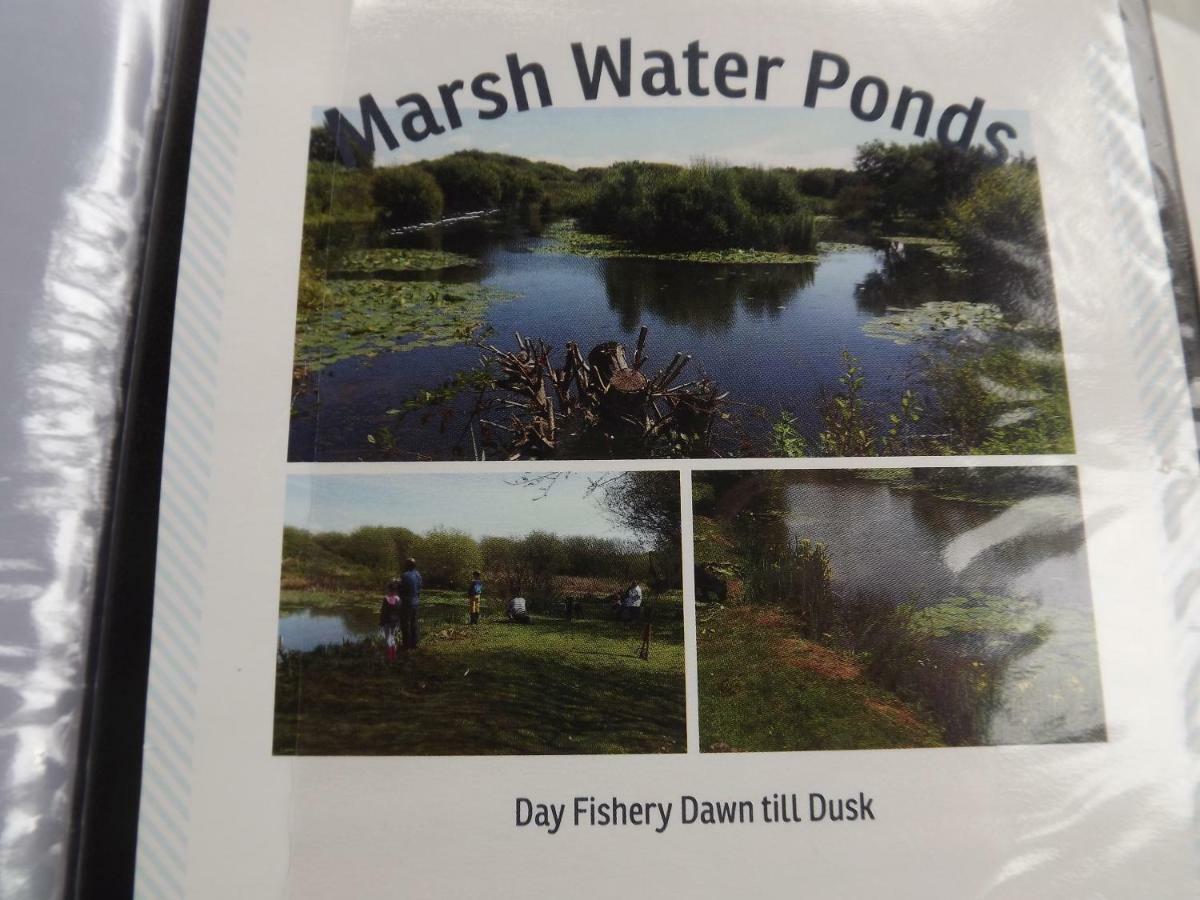 Marsh Water Ponds Fishery Kidwelly Exterior foto